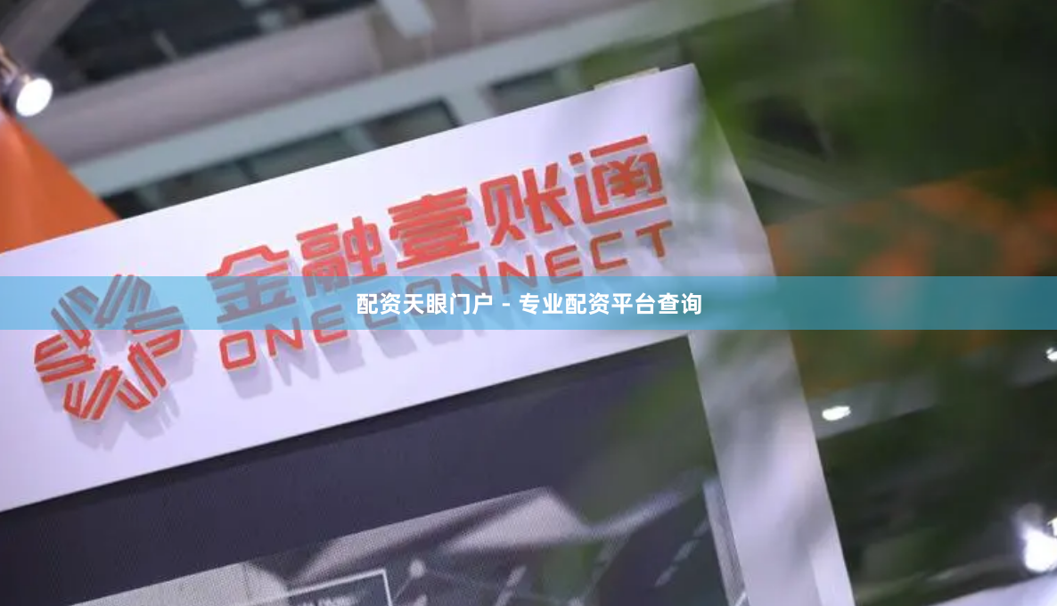配资天眼门户 - 专业配资平台查询